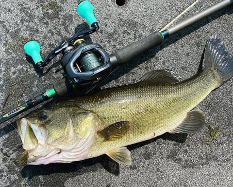 Gomexus Bass Fishing Handle Feedback 4 Gomexus Bass Fishing Handle Feedback