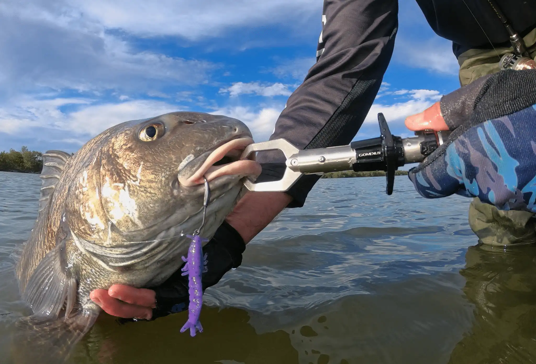Aluminum Fish Gripper