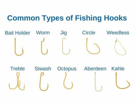Various types of fishing hooks displayed