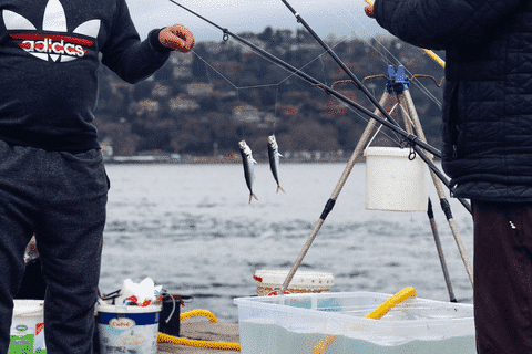 Gomexus baitcasting reels