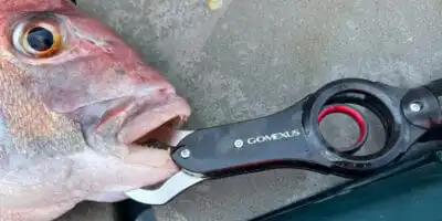 Conquer the Saltwater with the Aluminum Fish Gripper: A Must-Have for Serious Anglers 8 GomexusFishGripperBlogBanner