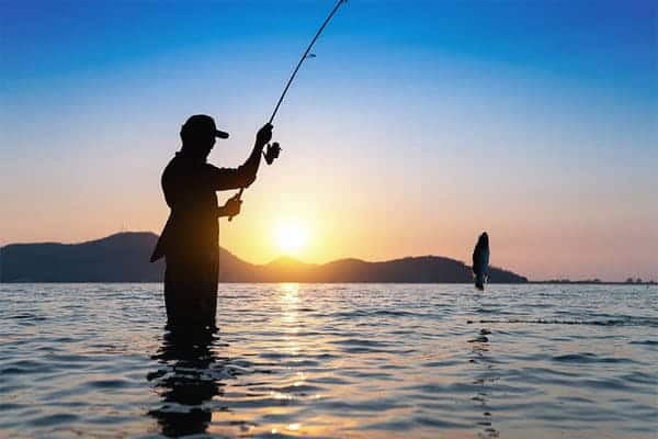 Inshore Fishing Ultimate Guide 2 Inshore Fishing Ultimate Guide