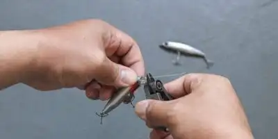 Fly Fishing Game Elevation: GOMEXUS SharkBite Nippers & Retractor Combo 2 NipperCutLine