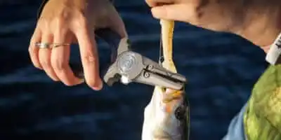 Inshore vs. Offshore Fishing Pliers: Which Tool Do You Actually Need? 6 OffshorePlierBlog 9ef52532 4eaf 4946 8679 2f44e87e2920