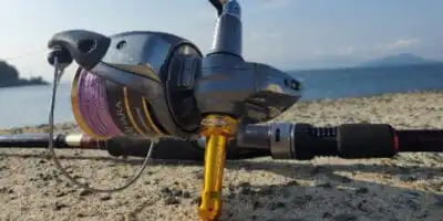 Protect Your Reel: The Importance of Reel Stands 6 R1 reelstand
