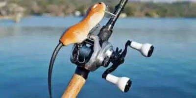 Shimano Tranx 300 Paddle Handle | Durable, Ergonomic Handle for Increased Casting Distance and Power