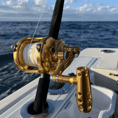 Deep Sea Fishing Gear for Beginners of 2023 5 What time of day is best for deep-sea fishing?