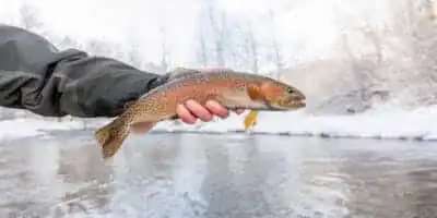 How to Catch Fish in the Cold (Without Losing Your Mind) 6 WinterFishcatching