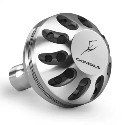 #color_Silver Black