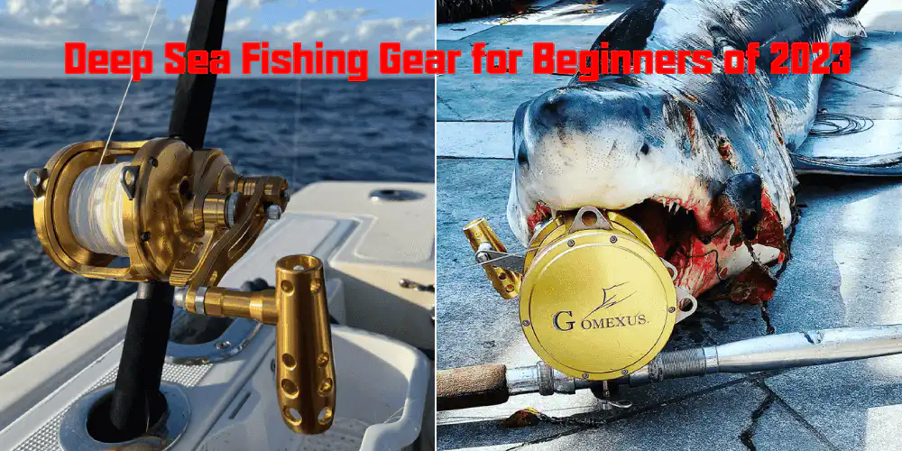 Deep Sea Fishing Gear for Beginners of 2023