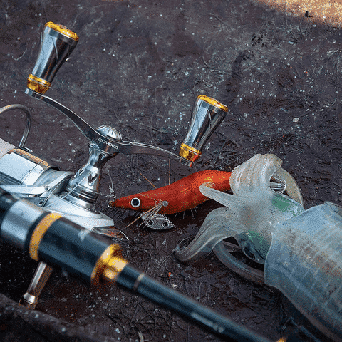 Buying Guides | Spinning Reel Fishing for Beginners 6 gomexus double spinning handles with reels