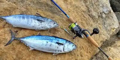 Fall Fishing Tips: A Deeper Dive 4 fallfishing