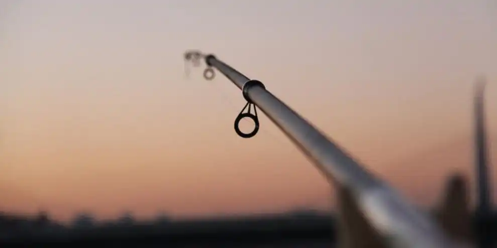 fishing leader setup
