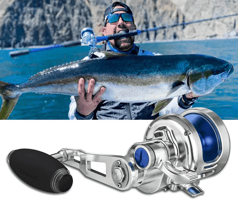 Florida fishing guide：fishing times + fishing locations + licenses