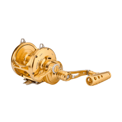 Best Saltwater Fishing Gear for Beginners of 2023 2 Gomexus Saltwater Trolling Reel RA600D