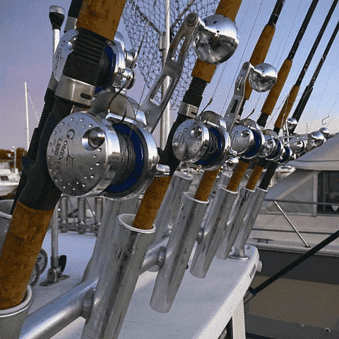 How to Clean a Reel and Care Guide After Fishing 2 How to Clean a Reel and Care Guide After Fishing