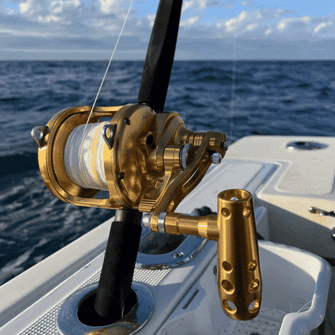 Best saltwater trolling reel for grouper 5 Gomexus suitable for grouper fishing reel