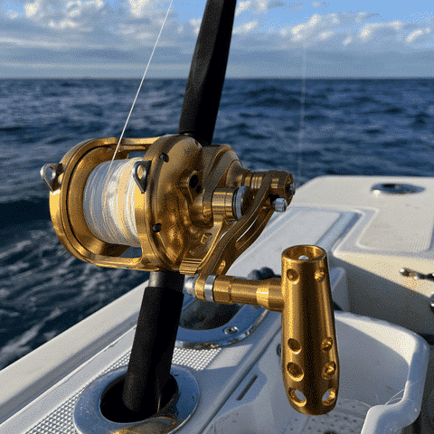 Trolling reel introduction
