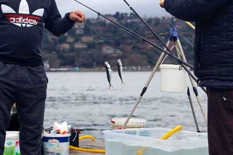 Trout Fishing Guide and Best Tackle Recommendations 3 How to fish for trout in a river?