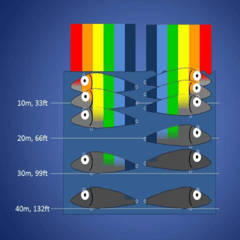 Lures fading at different water depths.