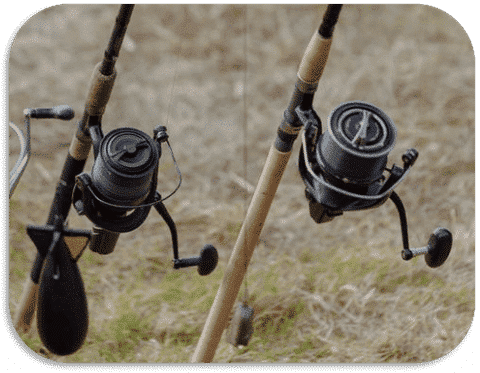 different fishing reels