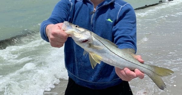 Inshore Fishing Ultimate Guide 4 snook