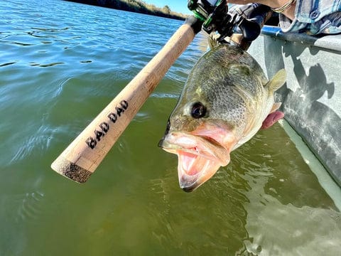 The Beginner’s Guide to Buying Saltwater Fishing Rods 3 Difference between saltwater and freshwater fishing rods