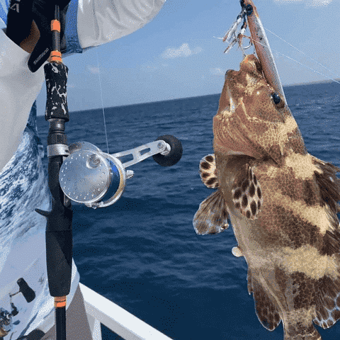 6 parts to upgrade the fishing rod to a professional fishing rod 3 The benefits of upgrading