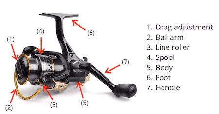 The Composition Structure Of Fishing Reels 2 Parts of a fishing reel
