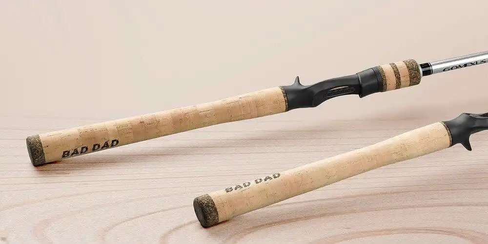 things to note when buying a fishing rod for beginners