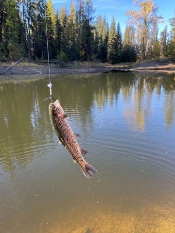 Trout Fishing Guide and Best Tackle Recommendations 4 Trout fishing tips for beginners