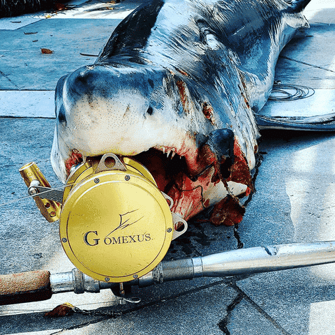 What do I need to know before deep-sea fishing?