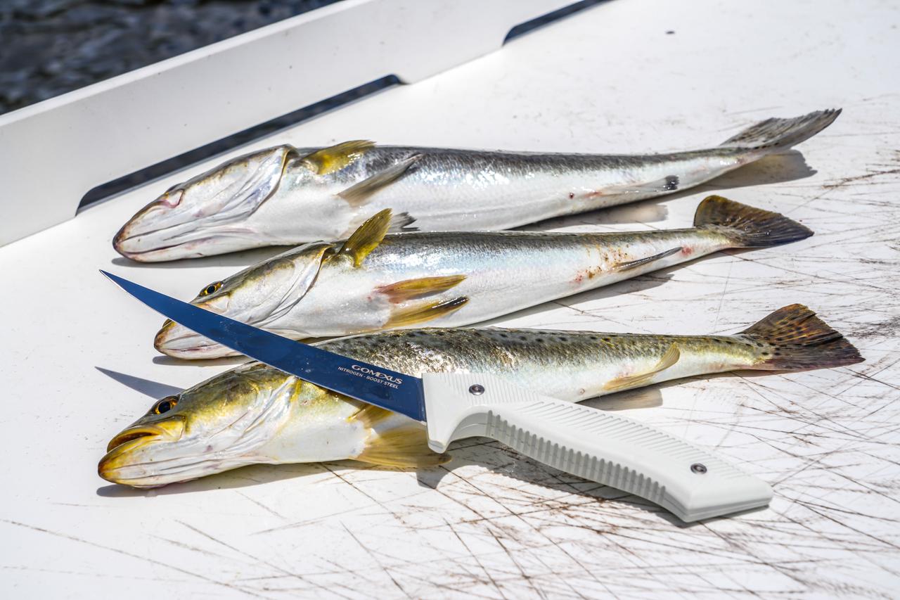 Gomexus G-Knife placing on a white cleaning table with scratches next to fresh spotted seatrout.